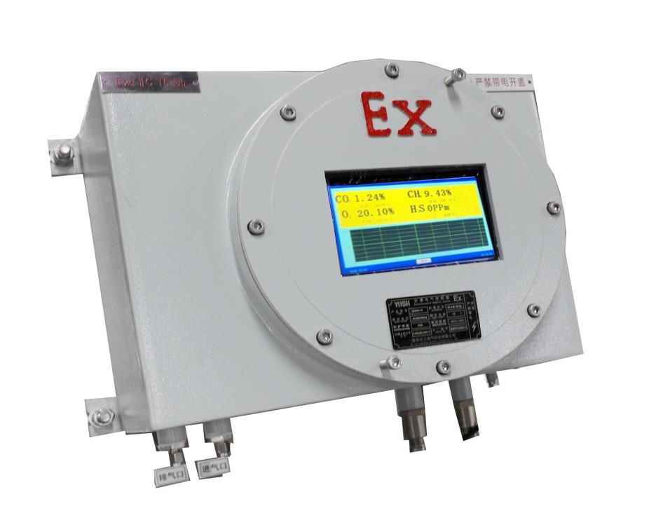 RL-E500型隔爆沼氣分析儀